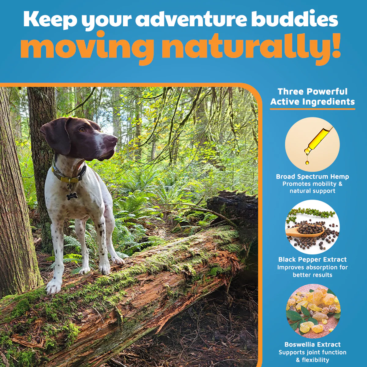 VetHemp Mobility Chews for Dogs - Image 10