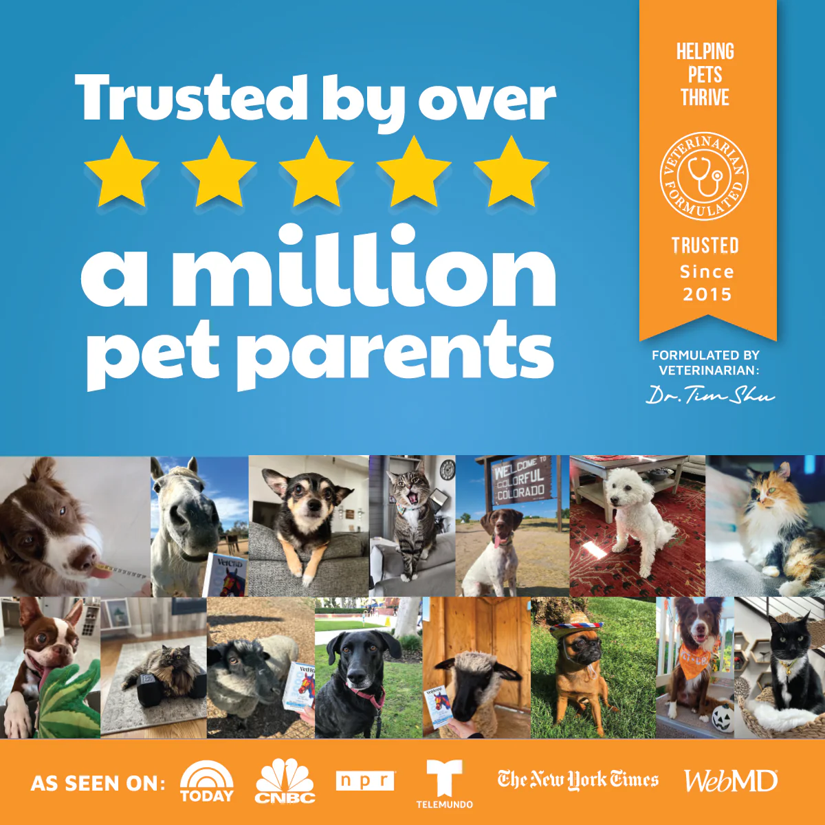 VetHemp Standard Formula Tinctures for Dogs & Cats - Image 14