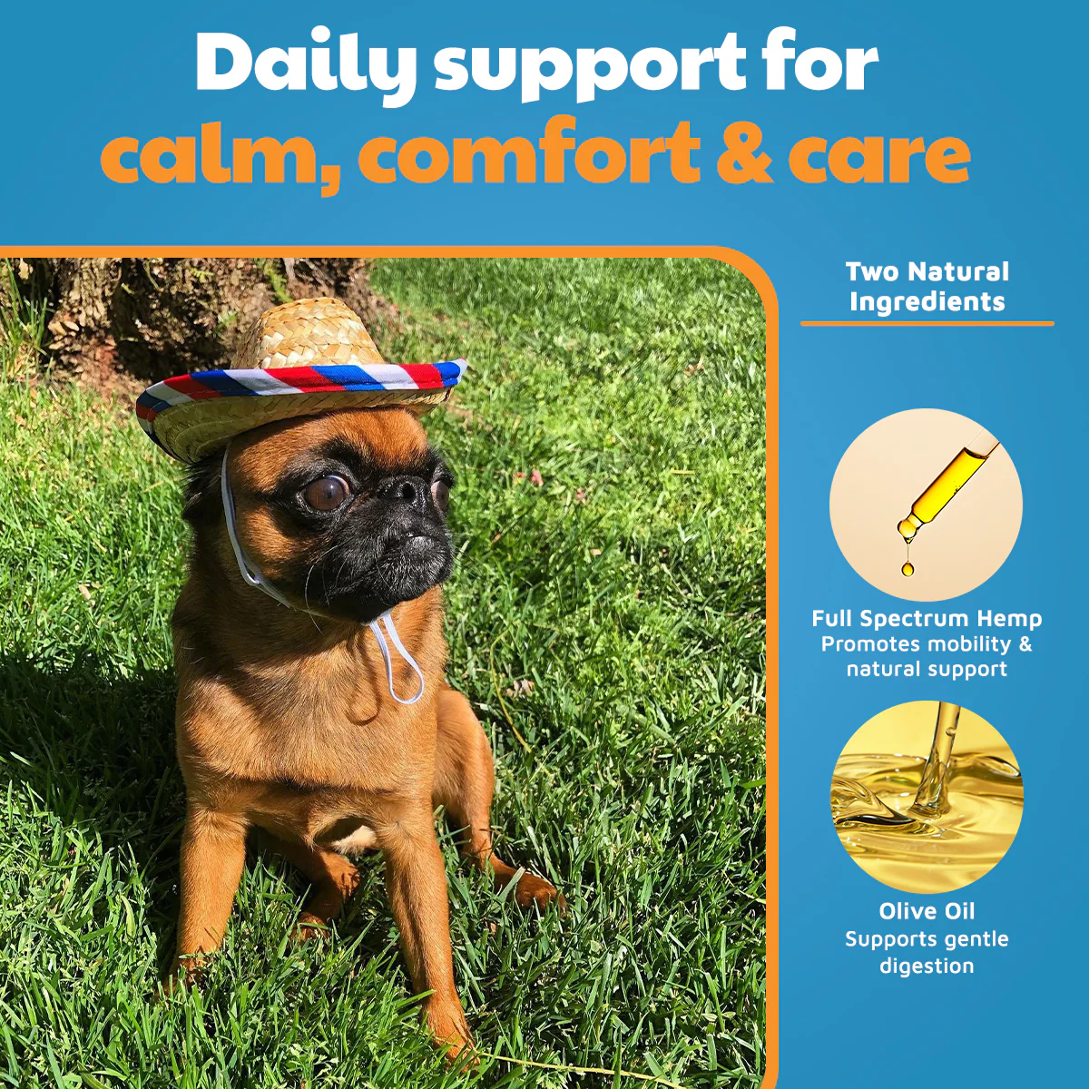VetHemp Standard Formula Tinctures for Dogs & Cats - Image 5
